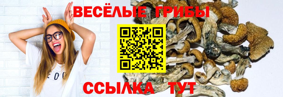 Галлюциногенные грибы Psilocybe  Псилоцибиновые грибы Cubensis  Каменка  Вход с VPN 